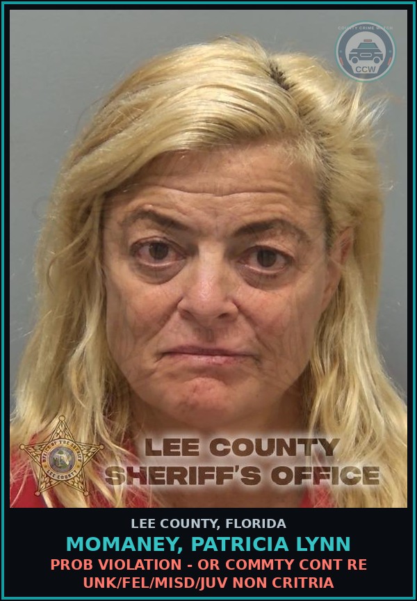 Booking mugshot of MOMANEY, PATRICIA LYNN in Lee County