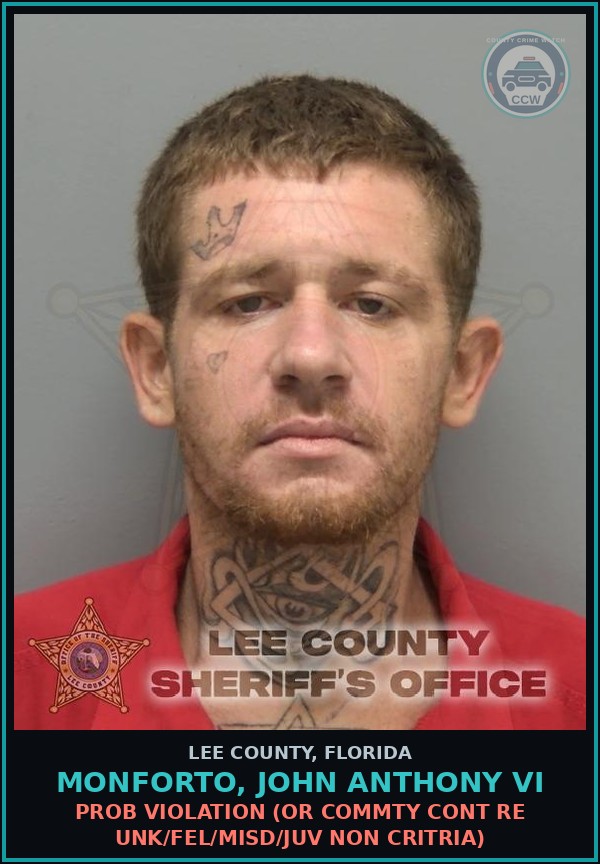 Booking mugshot of MONFORTO, JOHN ANTHONY VI in Lee County