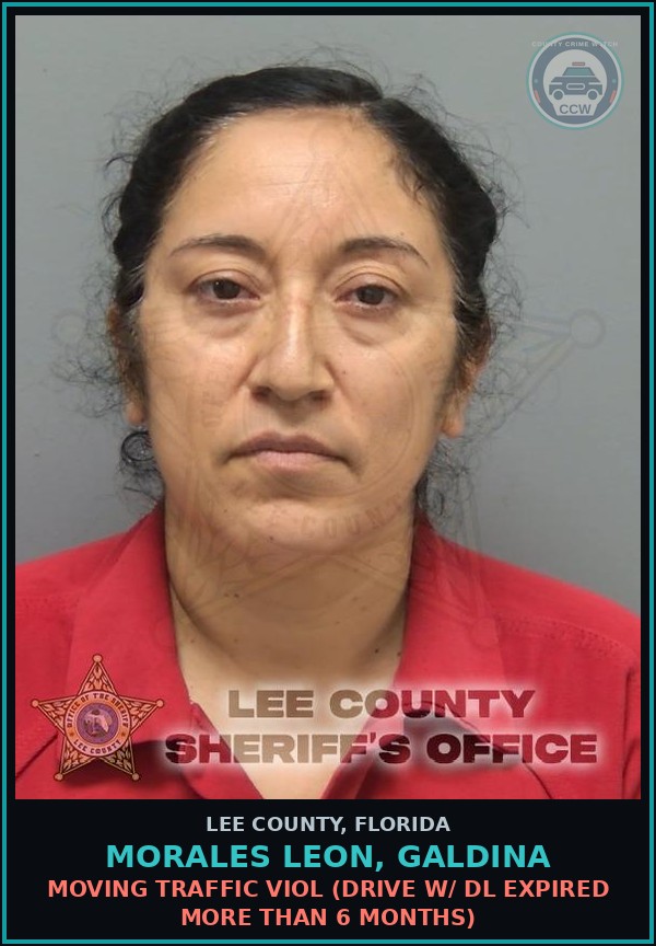 Booking mugshot of MORALES LEON, GALDINA in Lee County