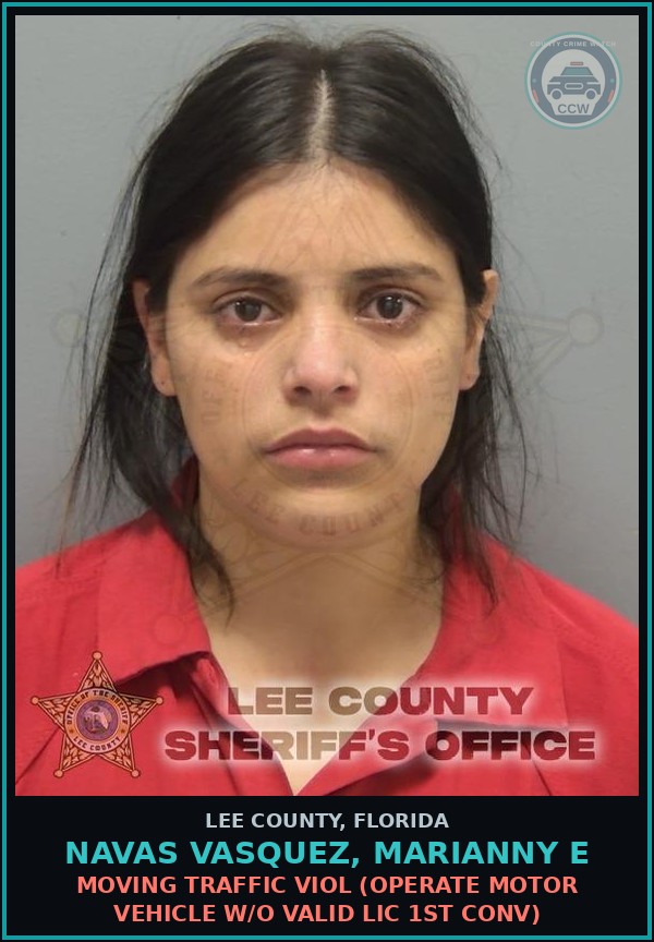 Booking mugshot of NAVAS VASQUEZ, MARIANNY E in Lee County