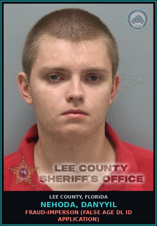 Booking mugshot of NEHODA, DANYYIL in Lee County
