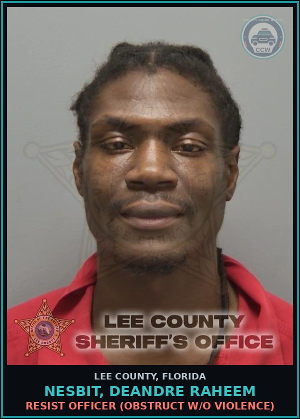 Booking mugshot of NESBIT, DEANDRE RAHEEM in Lee County