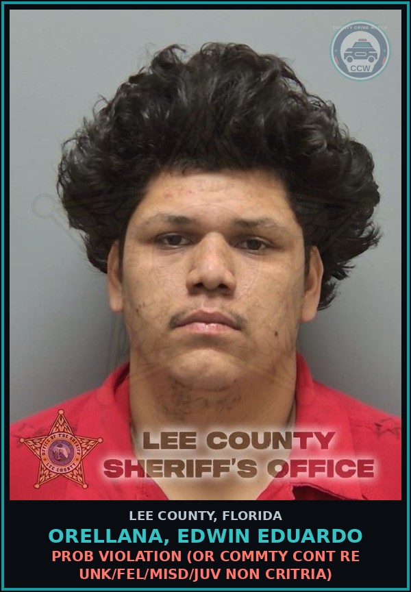 Booking mugshot of ORELLANA, EDWIN EDUARDO in Lee County