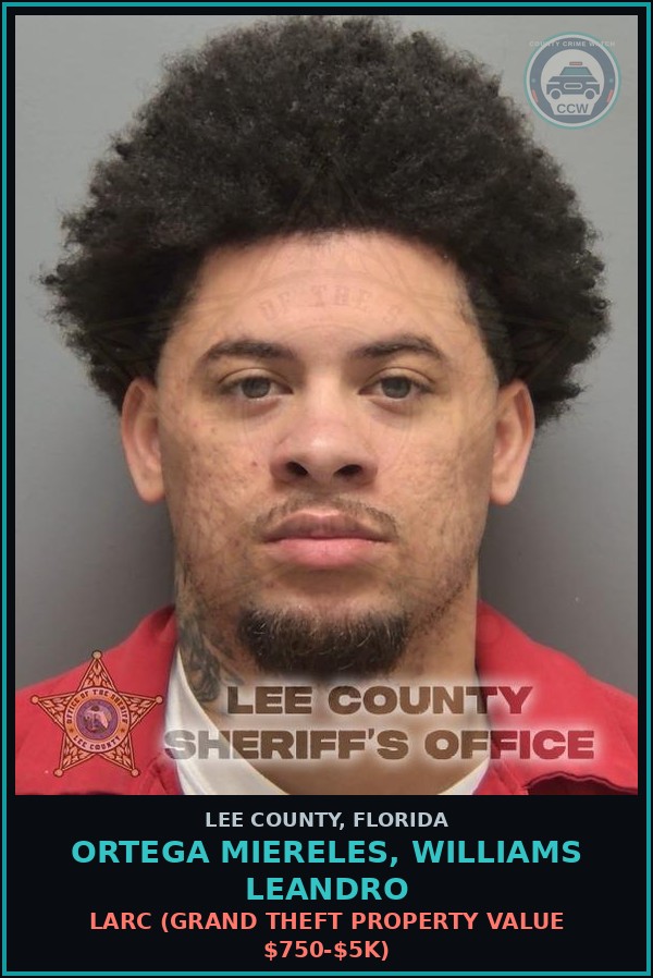 Booking mugshot of ORTEGA MIERELES, WILLIAMS LEANDRO in Lee County
