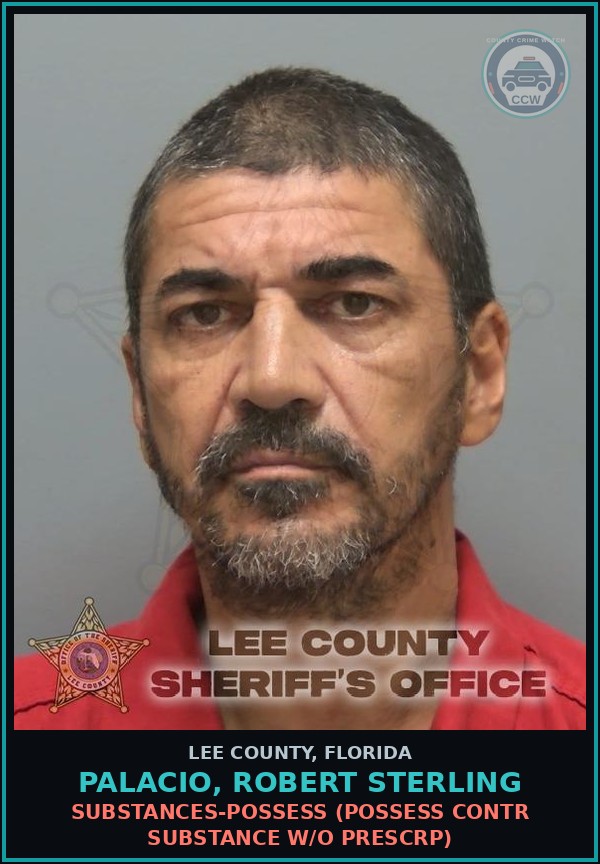 Booking mugshot of PALACIO, ROBERT STERLING in Lee County