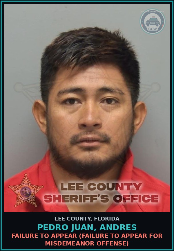 Booking mugshot of PEDRO JUAN, ANDRES in Lee County