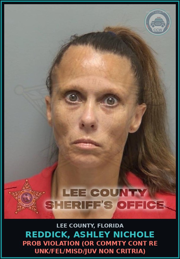 Booking mugshot of REDDICK, ASHLEY NICHOLE in Lee County