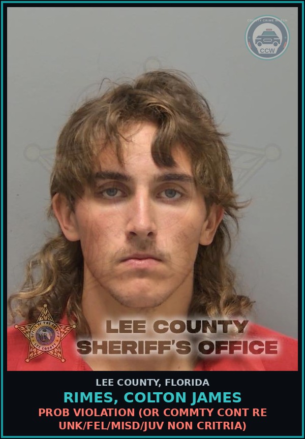 Booking mugshot of RIMES, COLTON JAMES in Lee County
