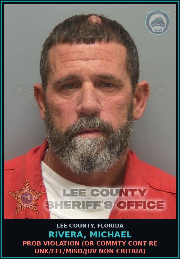 Booking mugshot of RIVERA, MICHAEL in Lee County
