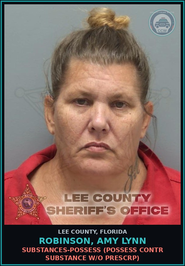 Booking mugshot of ROBINSON, AMY LYNN in Lee County