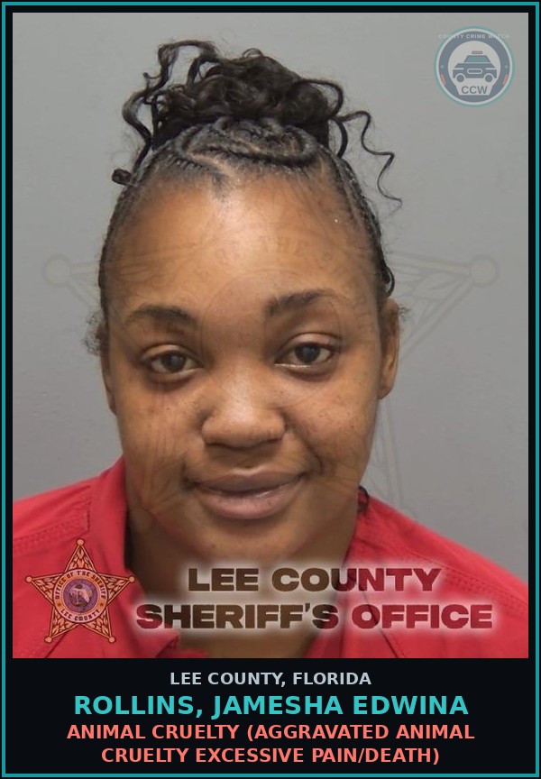 Booking mugshot of ROLLINS, JAMESHA EDWINA in Lee County