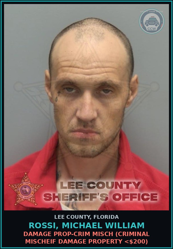 Booking mugshot of ROSSI, MICHAEL WILLIAM in Lee County