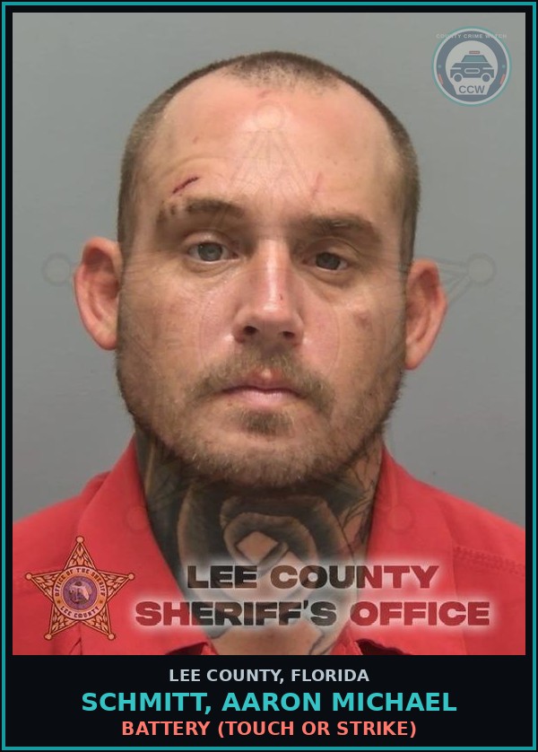 Booking mugshot of SCHMITT, AARON MICHAEL in Lee County