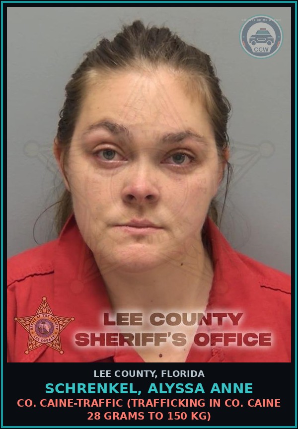 Booking mugshot of SCHRENKEL, ALYSSA ANNE in Lee County