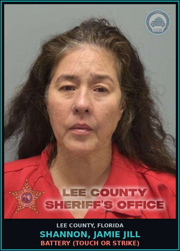 Booking mugshot of SHANNON, JAMIE JILL in Lee County