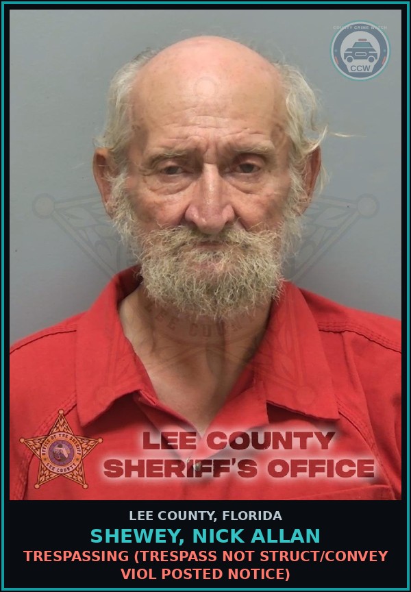Booking mugshot of SHEWEY, NICK ALLAN in Lee County