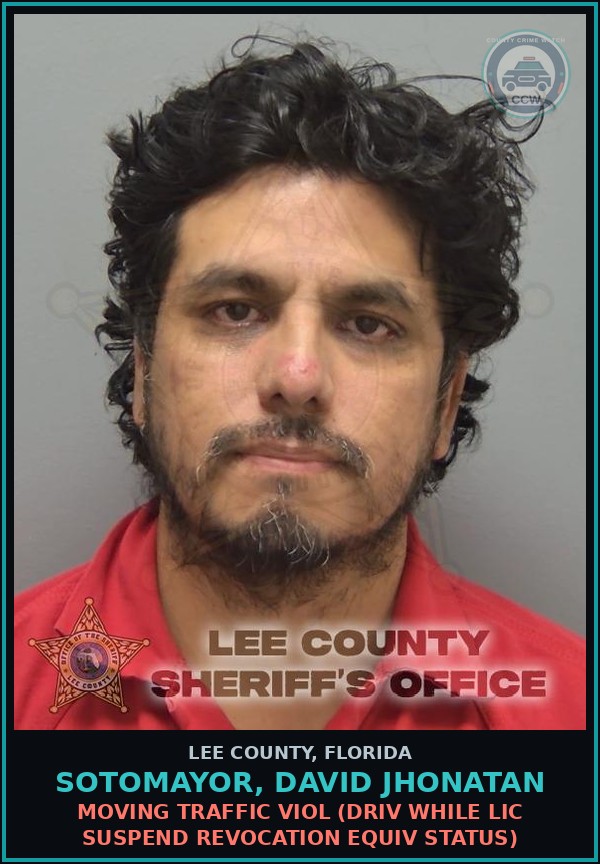 Booking mugshot of SOTOMAYOR, DAVID JHONATAN in Lee County