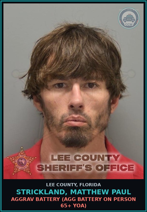 Booking mugshot of STRICKLAND, MATTHEW PAUL in Lee County