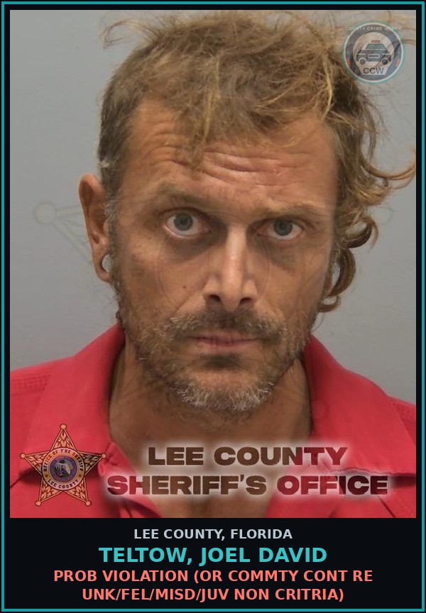 Booking mugshot of TELTOW, JOEL DAVID in Lee County
