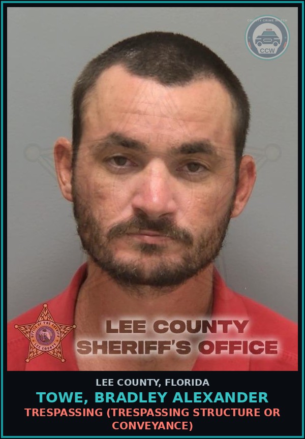 Booking mugshot of TOWE, BRADLEY ALEXANDER in Lee County