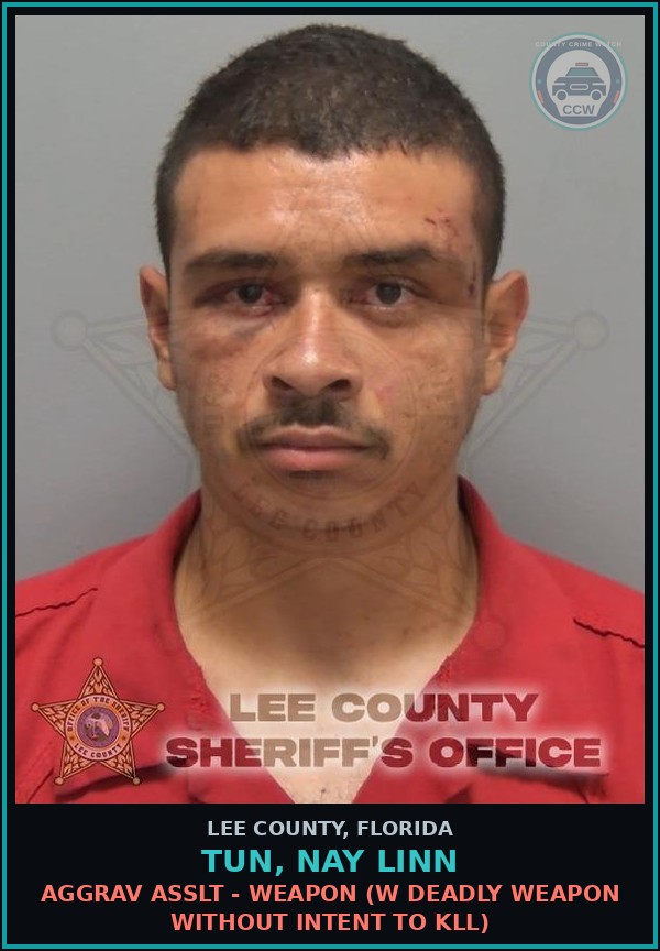 Booking mugshot of TUN, NAY LINN in Lee County