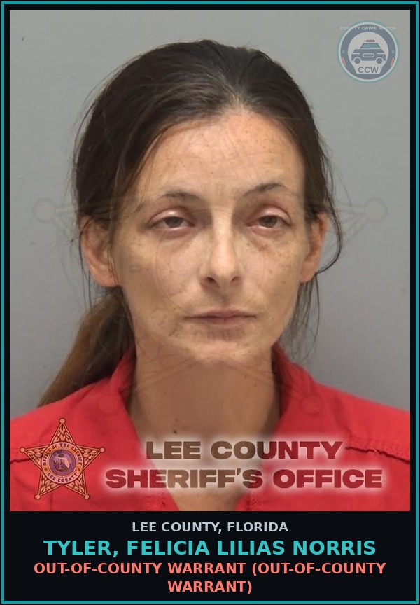 Booking mugshot of TYLER, FELICIA LILIAS NORRIS in Lee County