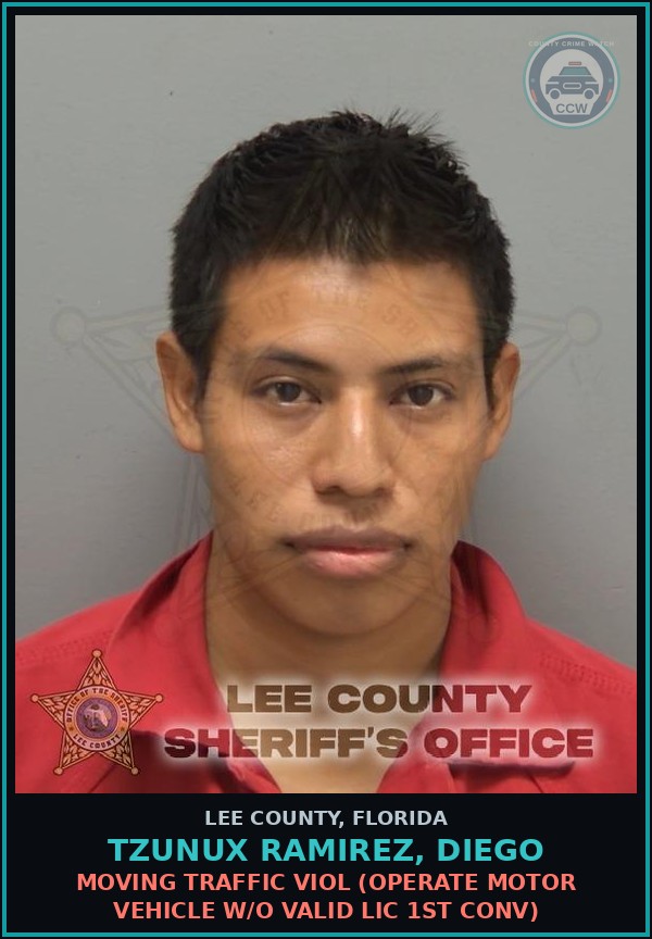 Booking mugshot of TZUNUX RAMIREZ, DIEGO in Lee County
