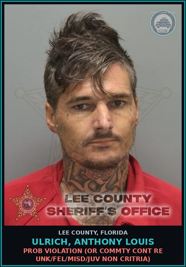 Booking mugshot of ULRICH, ANTHONY LOUIS in Lee County