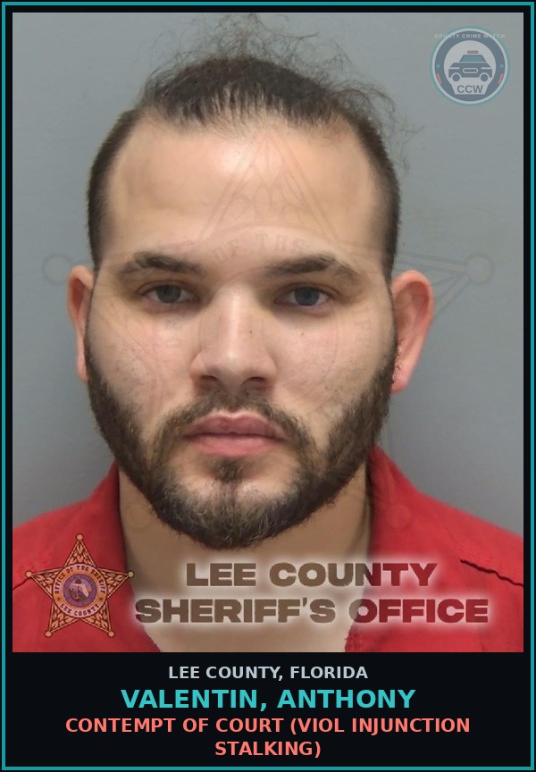 Booking mugshot of VALENTIN, ANTHONY in Lee County