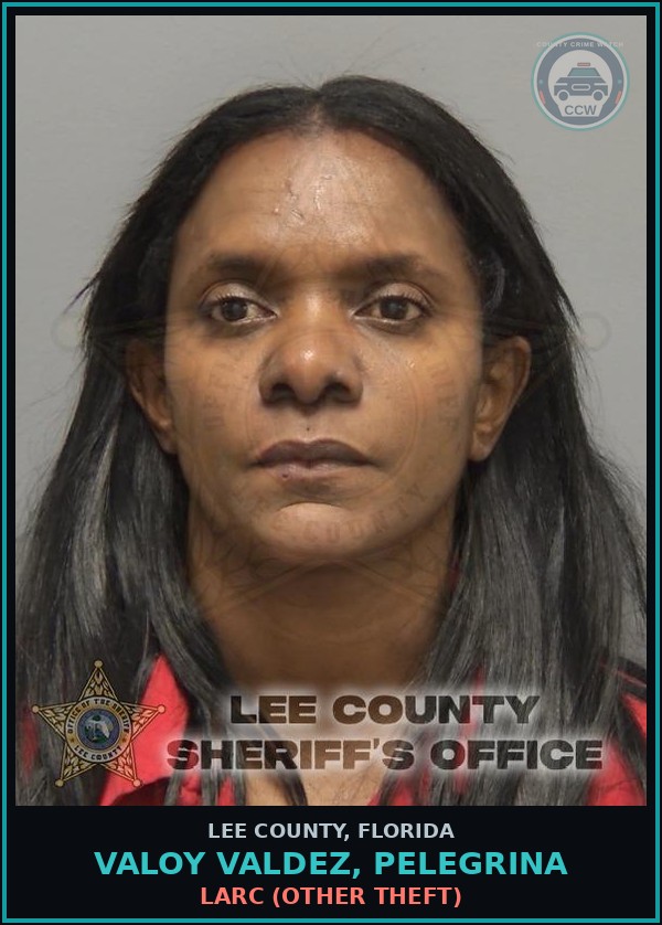 Booking mugshot of VALOY VALDEZ, PELEGRINA in Lee County