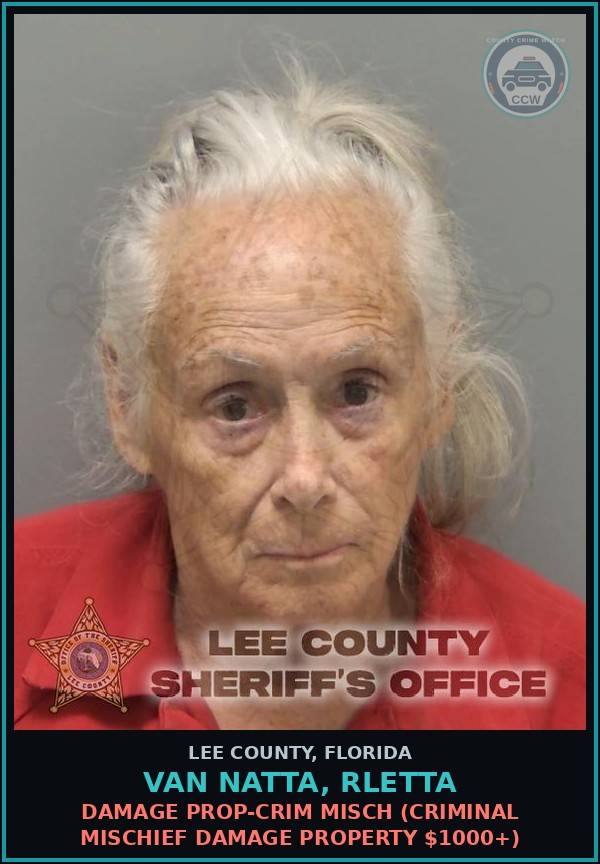 Booking mugshot of VAN NATTA, RLETTA in Lee County
