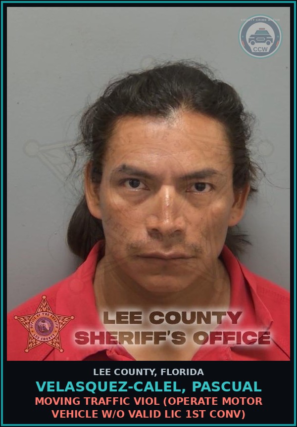 Booking mugshot of VELASQUEZ-CALEL, PASCUAL in Lee County