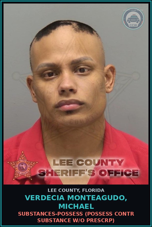 Booking mugshot of VERDECIA MONTEAGUDO, MICHAEL in Lee County