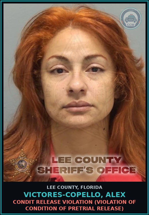Booking mugshot of VICTORES-COPELLO, ALEX in Lee County
