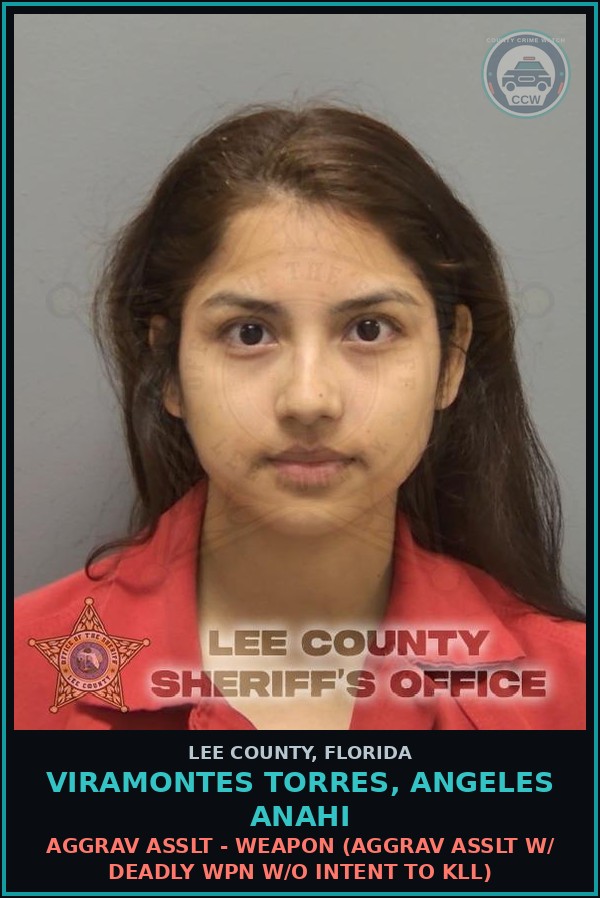 Booking mugshot of VIRAMONTES TORRES, ANGELES ANAHI in Lee County