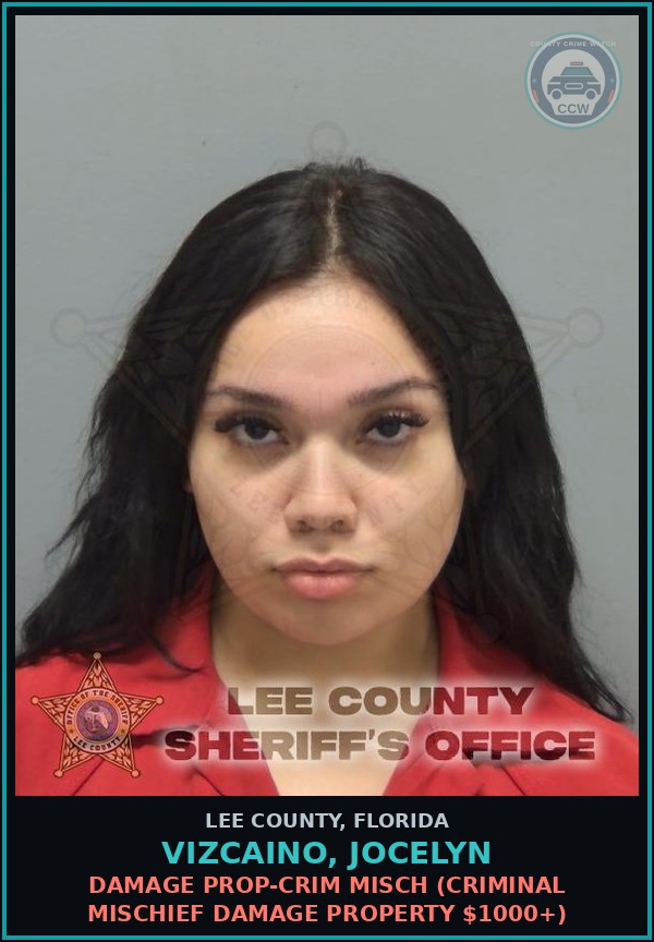 Booking mugshot of VIZCAINO, JOCELYN in Lee County