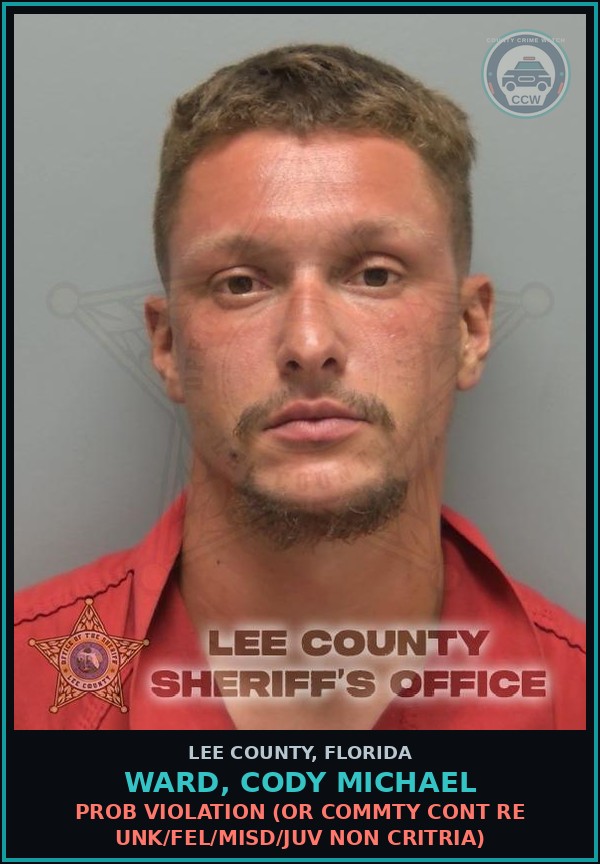 Booking mugshot of WARD, CODY MICHAEL in Lee County