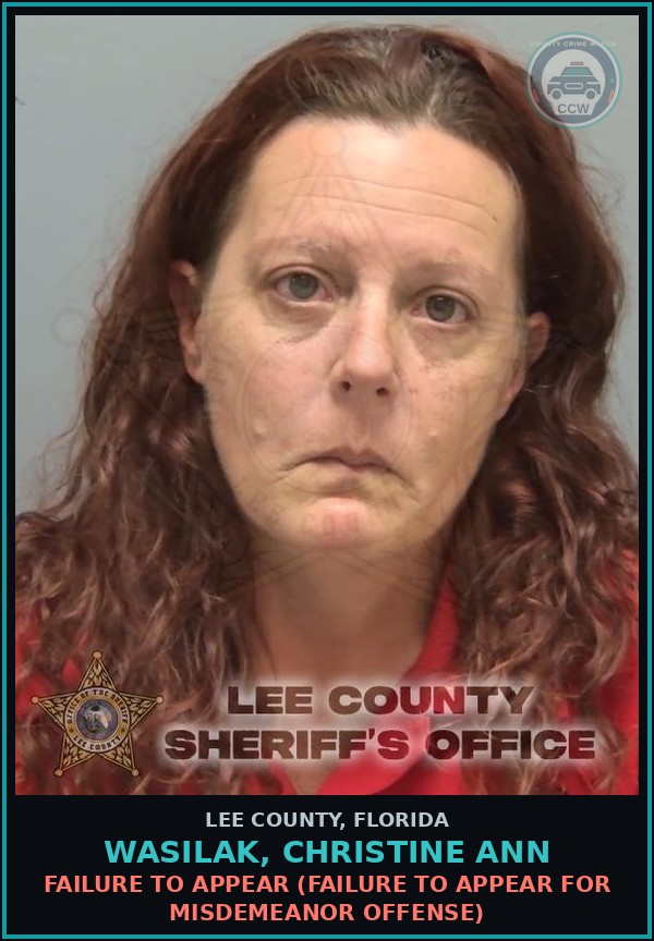 Booking mugshot of WASILAK, CHRISTINE ANN in Lee County