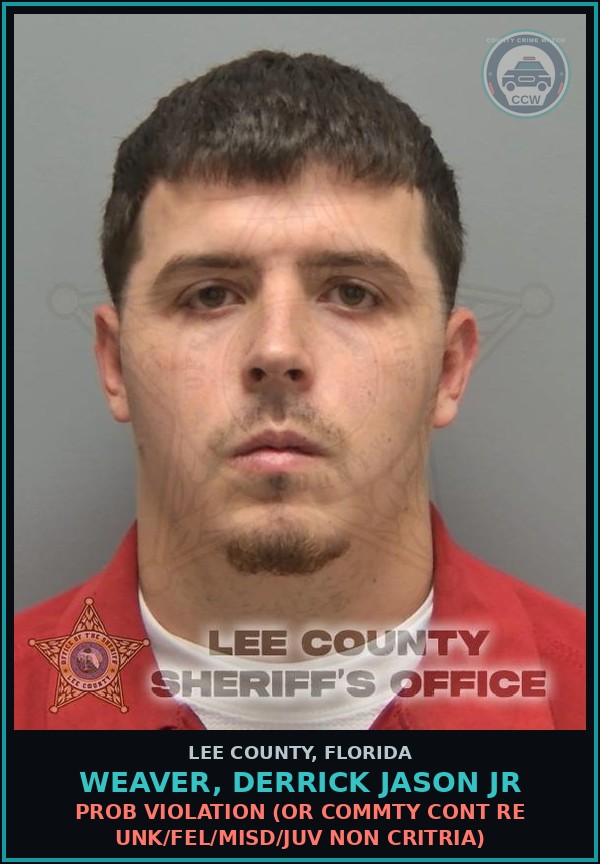 Booking mugshot of WEAVER, DERRICK JASON JR in Lee County