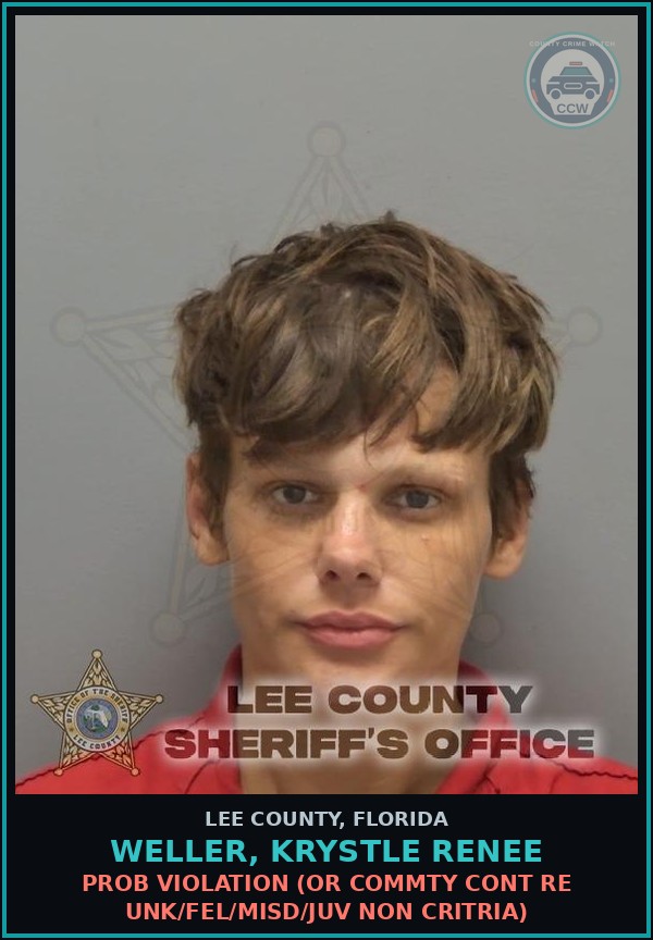Booking mugshot of WELLER, KRYSTLE RENEE in Lee County