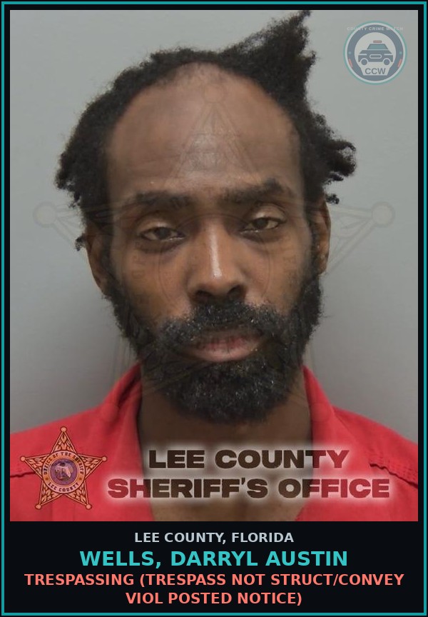 Booking mugshot of WELLS, DARRYL AUSTIN in Lee County