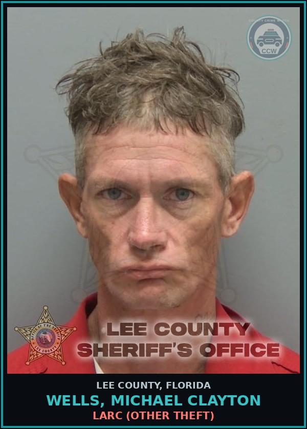 Booking mugshot of WELLS, MICHAEL CLAYTON in Lee County