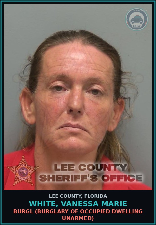 Booking mugshot of WHITE, VANESSA MARIE in Lee County