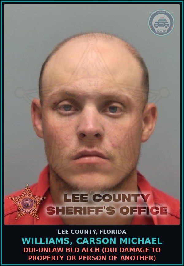 Booking mugshot of WILLIAMS, CARSON MICHAEL in Lee County