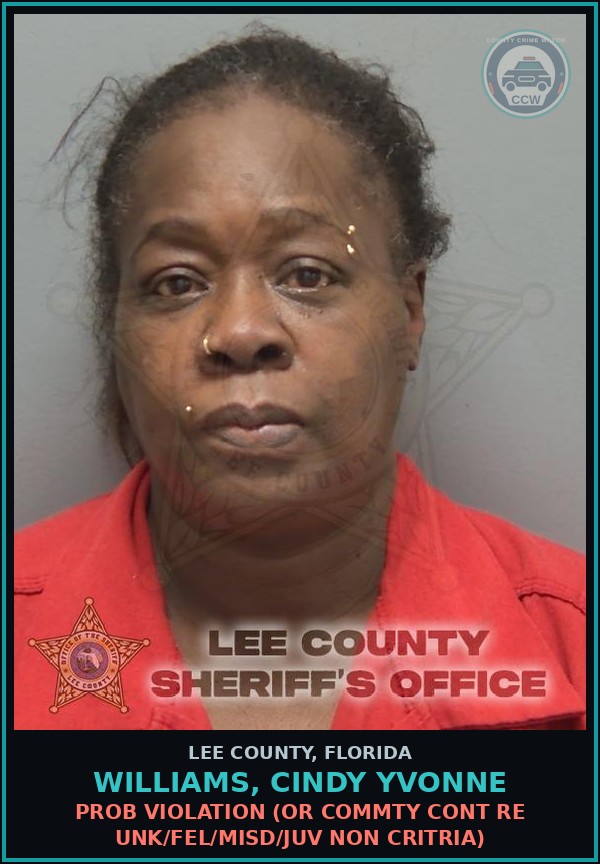 Booking mugshot of WILLIAMS, CINDY YVONNE in Lee County