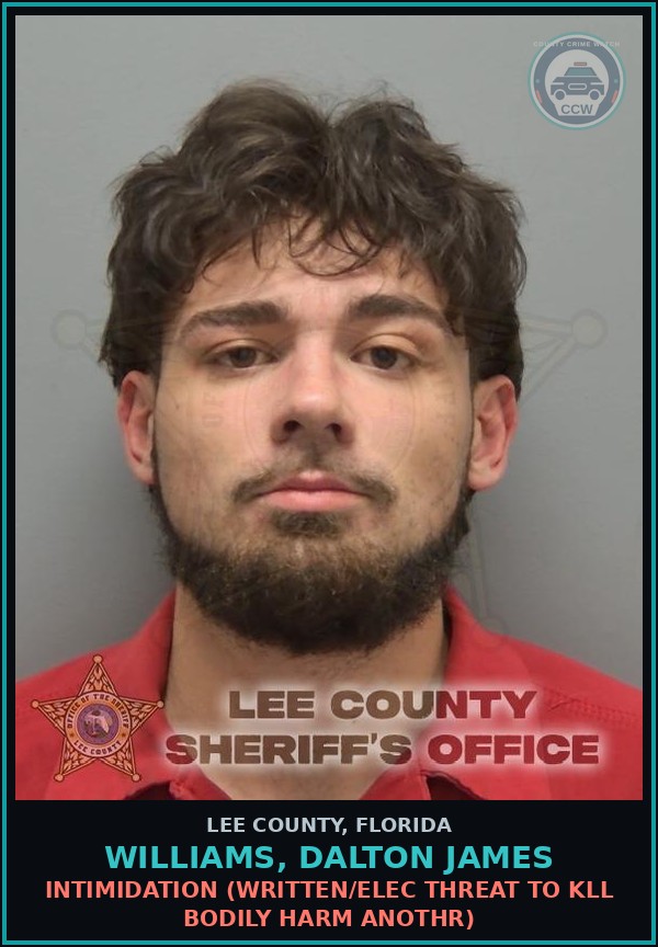 Booking mugshot of WILLIAMS, DALTON JAMES in Lee County