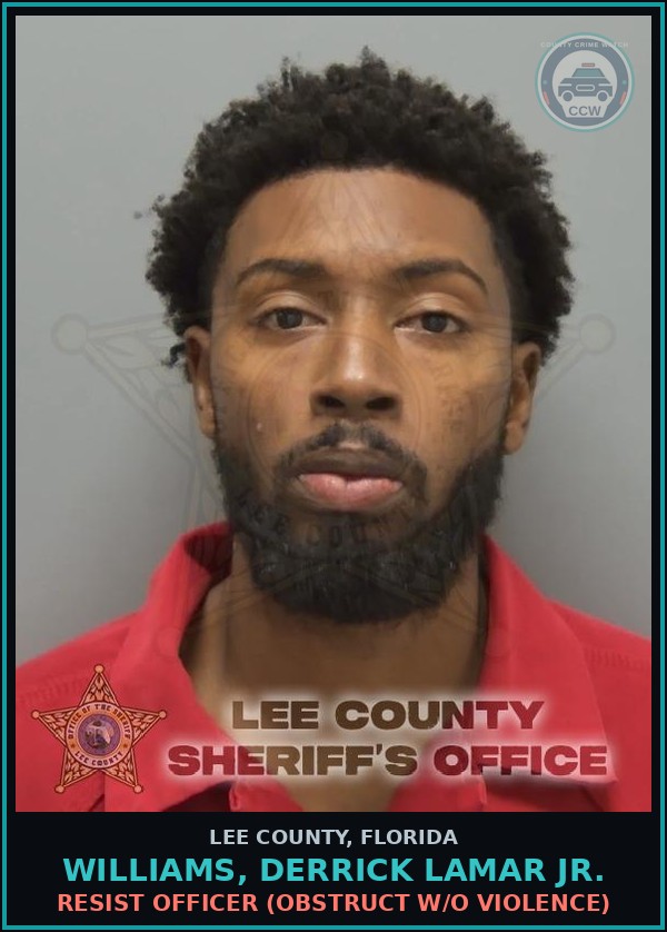 Booking mugshot of WILLIAMS, DERRICK LAMAR JR. in Lee County