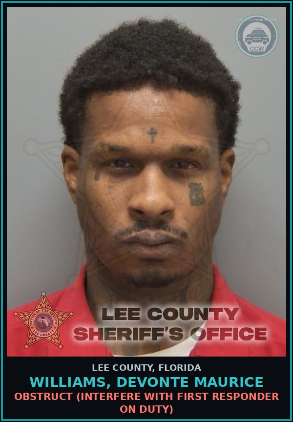 Booking mugshot of WILLIAMS, DEVONTE MAURICE in Lee County