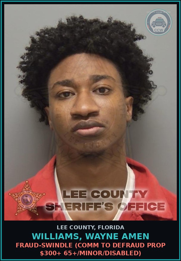 Booking mugshot of WILLIAMS, WAYNE AMEN in Lee County