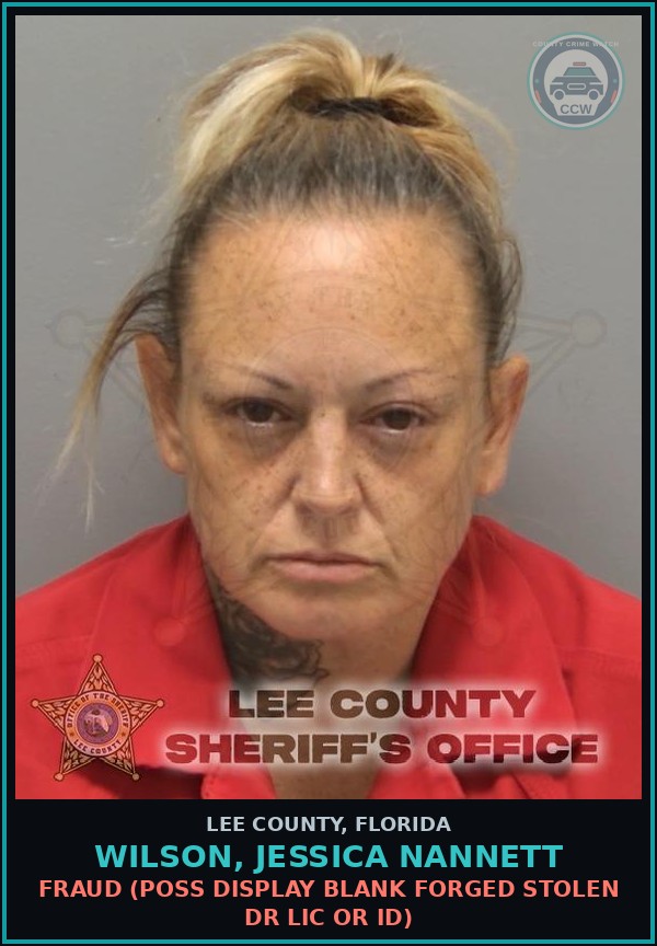 Booking mugshot of WILSON, JESSICA NANNETT in Lee County